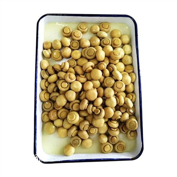 Nấm trong Brine