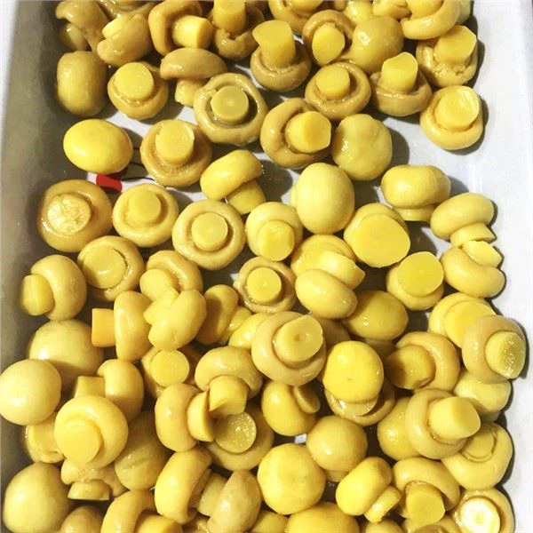 Nấm Champignon muối