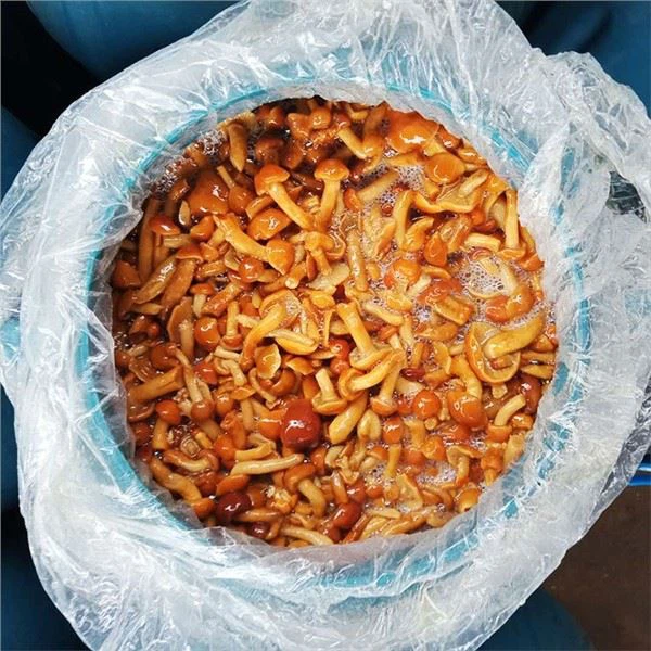 Nấm shimeji trong Brine