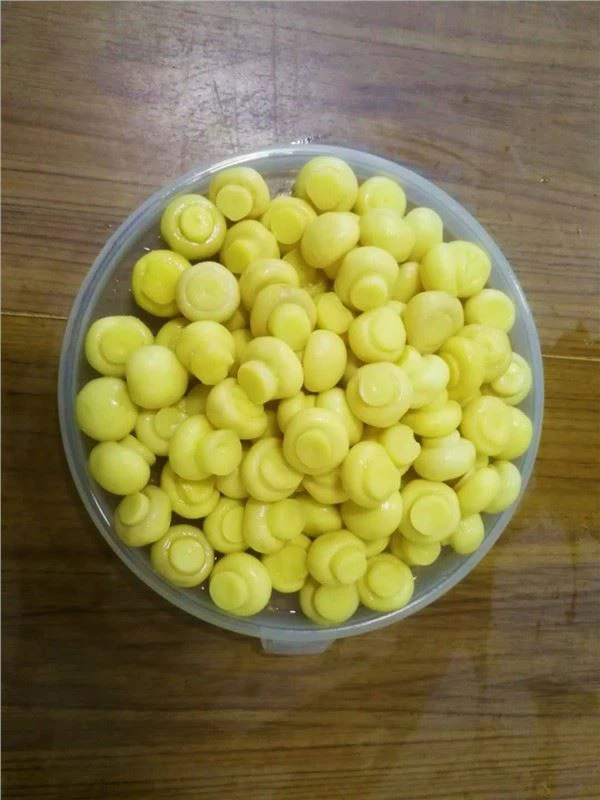 Champignon tươi ngâm nước muối toàn bộ