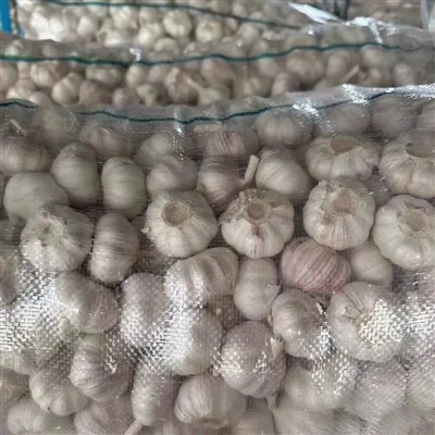 Tỏi tươi Trung Quốc vụ mới với số lượng lớn