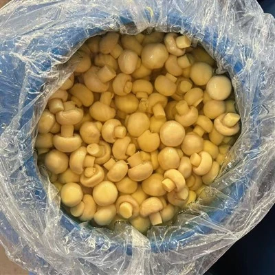 Nấm Champignon ngâm muối bảo quản trong trống